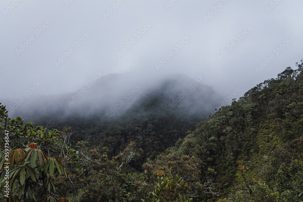 foggy mountain