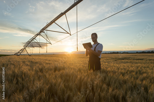 Serious young Caucasian farmer or agronomist standing in ripe wheat field beneath center pivot irrigation system and using a tablet at sunset