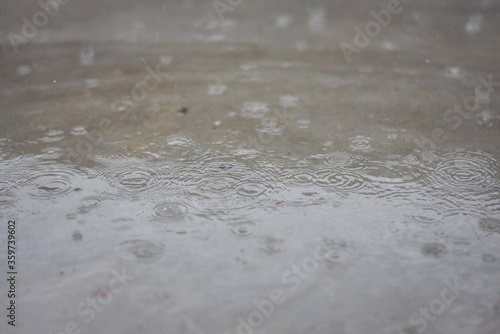 monsoon water drops on the floor, Indian Monsoon 