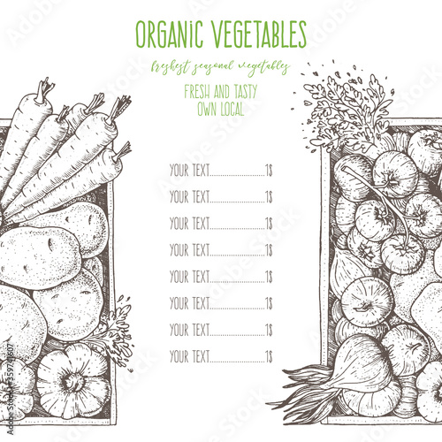 Vegetables in the box menu template. Hand drawn vector illustration. Engraved style. Harvest of vegetables. Farmers product price. Design for packaging.