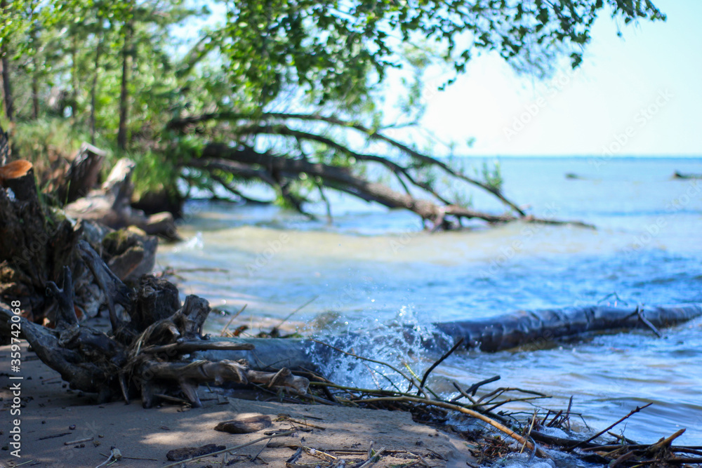Obraz premium Sea shore with roots of trees felled by a hurricane, the background is blurred, water splashes.