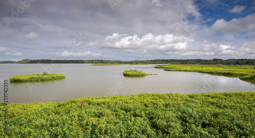 Wetlands in the Marais d   Orx  the Orx Marsh  a Natural Reserve located in New Aquitaine  The Landes Department  France