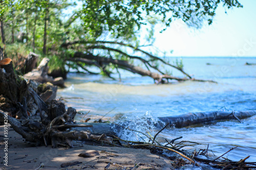 Sea shore with roots of trees felled by a hurricane, the background is blurred, water splashes.