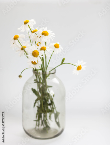 Beautiful bouquet of daisies in a glass vase on a white background