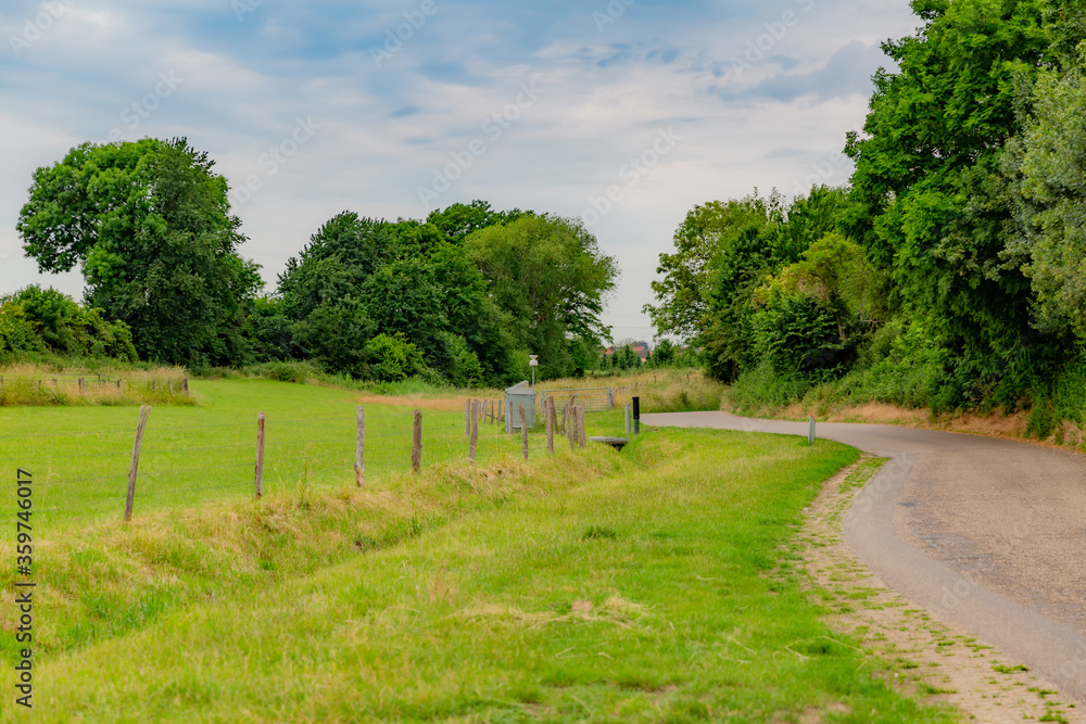 Rural road between farms with fences with wooden posts and barbed wire with trees and abundant vegetation with green foliage, cloudy day with a sky with white clouds in South Limburg, the Netherlands