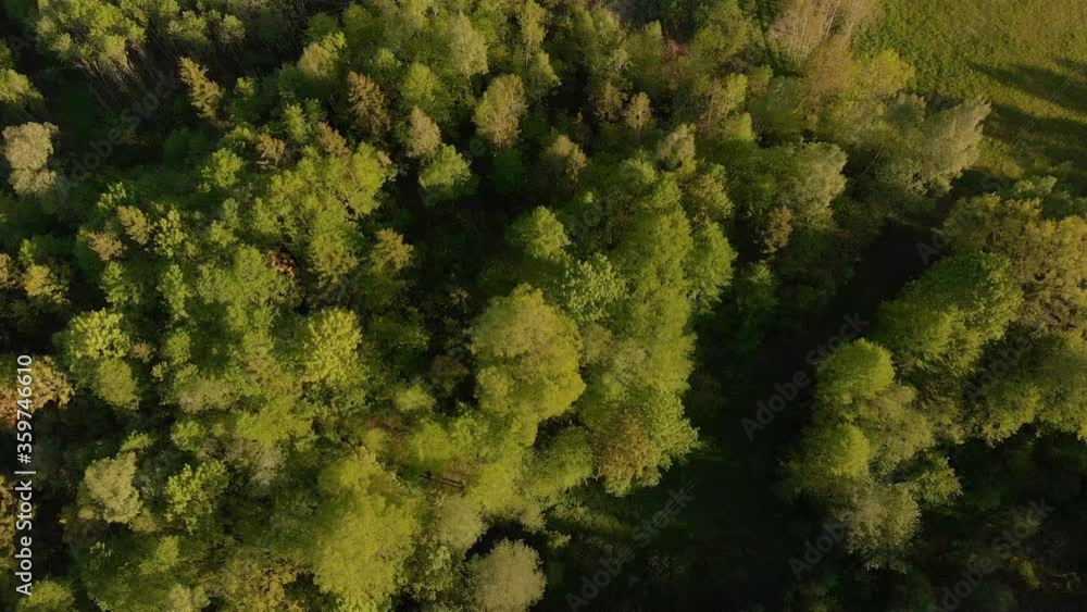 Aerial moving horizontally above forests in Latvia Kurzeme Aerial moving horizontally above forests in Latvia Kurzeme