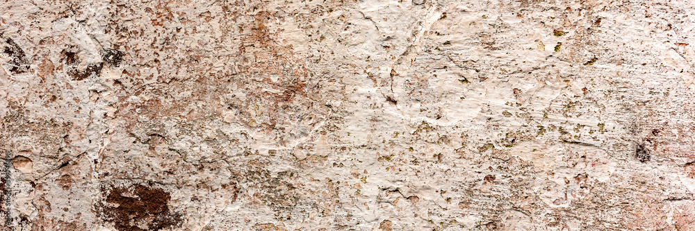 Texture of a concrete wall with cracks and scratches which can be used as a background Texture of a concrete wall with cracks and scratches which can be used as a background