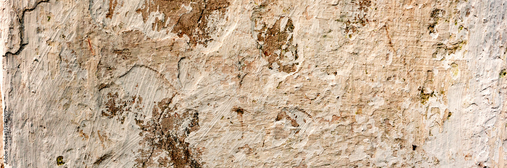 Texture of a concrete wall with cracks and scratches which can be used as a background Texture of a concrete wall with cracks and scratches which can be used as a background
