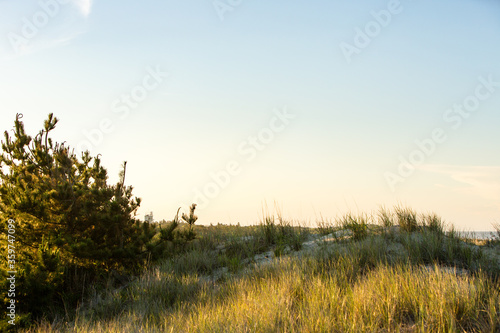 summer east coast dunes sunset