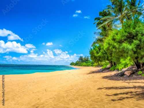 tropical beach with palm trees and turquoise ocean