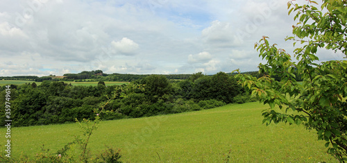 Panoramic view with meadows and forest