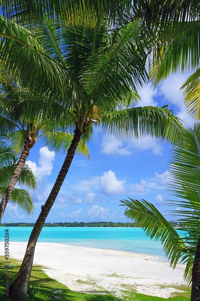 View of a tropical landscape with palm trees, white sand and the turquoise lagoon water in Bora Bora, French Polynesia, South Pacific