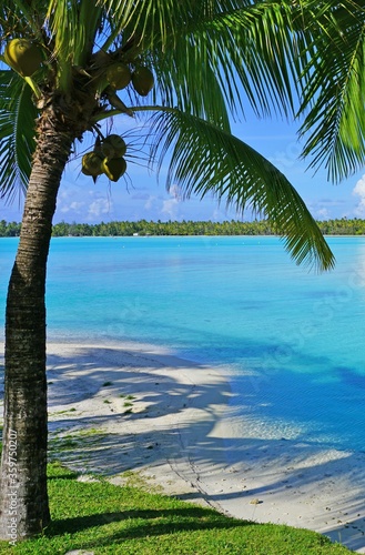 View of a tropical landscape with palm trees  white sand and the turquoise lagoon water in Bora Bora  French Polynesia  South Pacific