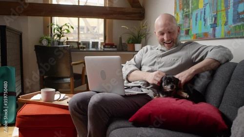 A cute chihuahua dog runs up onto the couch where his owner is working on his laptop