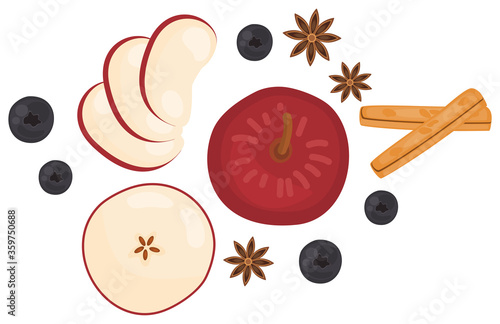 Top view fruit and herb, spice, ingredients, recipe illustration in theme of healthy food of winter and fall season.  Red apple, blueberry, cinnamon, star anise. Isolated on white background