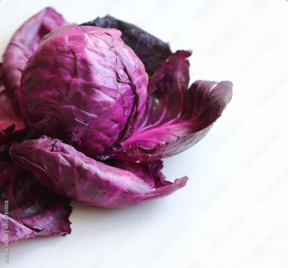 Obraz premium red cabbage on a white background close up