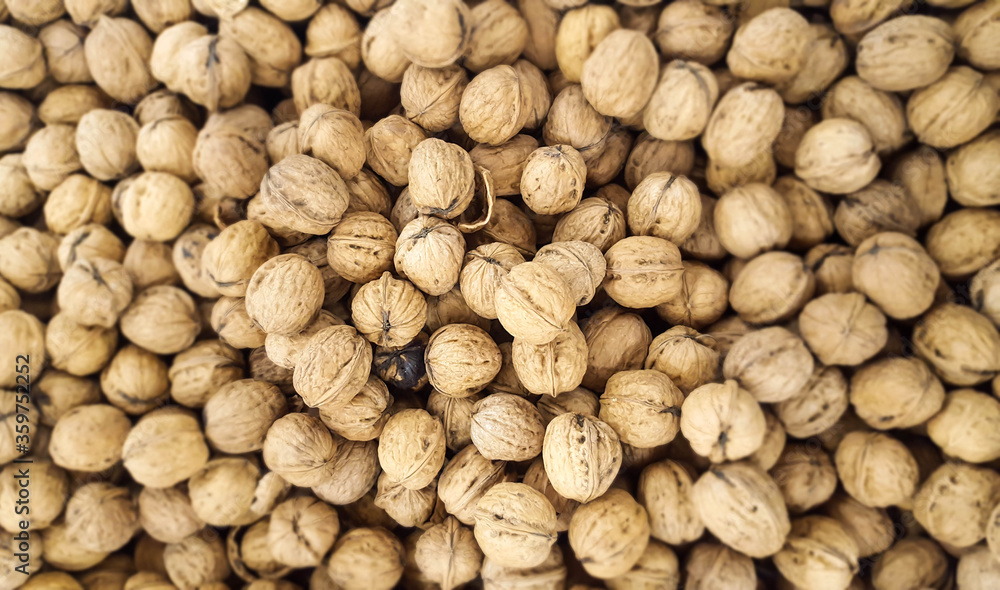 Many fresh walnuts ready to be sold Many fresh walnuts ready to be sold