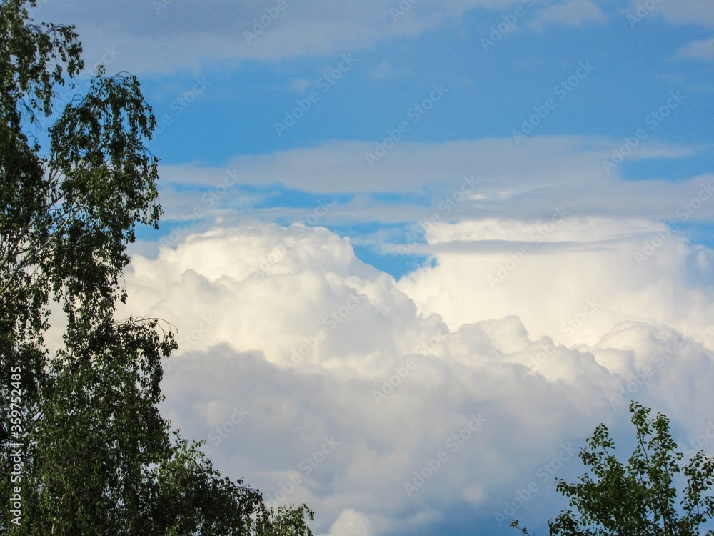 birch on a background of sky with clouds. spring sky. beautiful clouds. tree on sky background birch on a background of sky with clouds. spring sky. beautiful clouds. tree on sky background