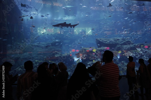 Photography people in the hall of Dubai mall looking giant aquarium