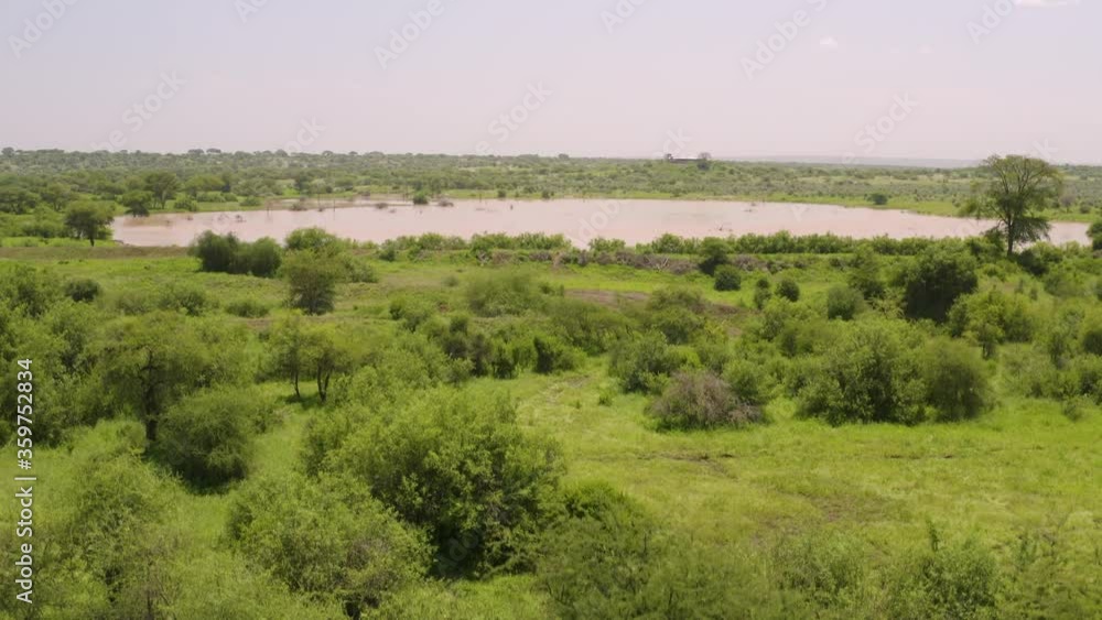 Lake reveal in dry african plain with green vegetation and animals drinking, waterhole Lake reveal in dry african plain with green vegetation and animals drinking, waterhole