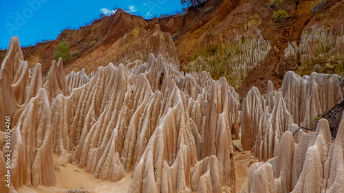 Red Tsingy in Madagascar, Africa. Stone formation of red laterite formed by erosion of the Irodo River in the region of Diana in north of Madagascar.