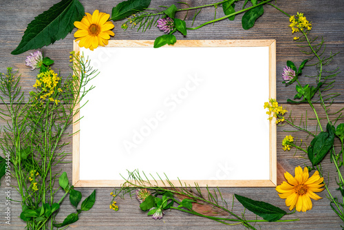 Beautiful flowers composition. Blank frame for text