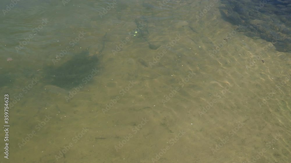 Yellow sand is visible through the clear wavy river water. Crystal clear river. Sand at the bottom of the stream. Environmental protection and preservation of water as a natural resource. Small waves Yellow sand is visible through the clear wavy river water. Crystal clear river. Sand at the bottom of the stream. Environmental protection and preservation of water as a natural resource. Small waves