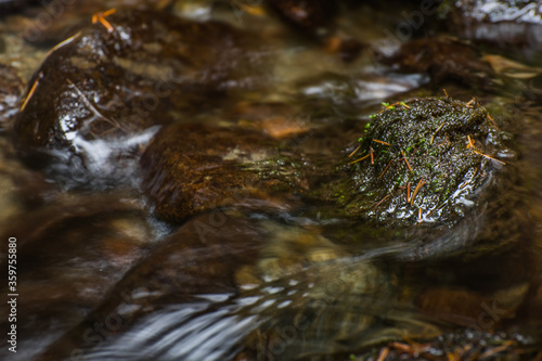 flat spot in a brook with moss