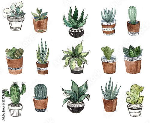 Watercolor set of cactus plants. Western illustration on the white background