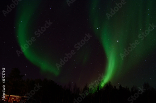 strong aurora borealis dancing on winter night sky over tree tops in northern Norway photo