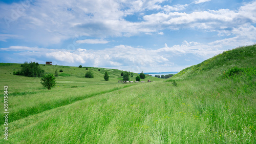 Landscape of the middle belt of Russia. Russian field.