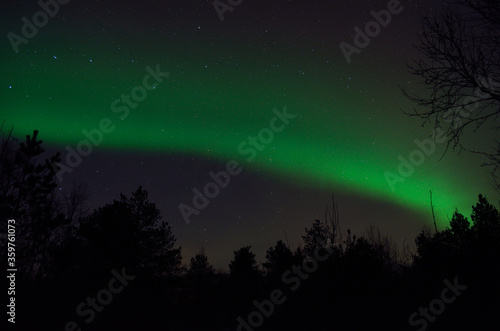 strong vibrant and vivid aurora borealis over winter forest