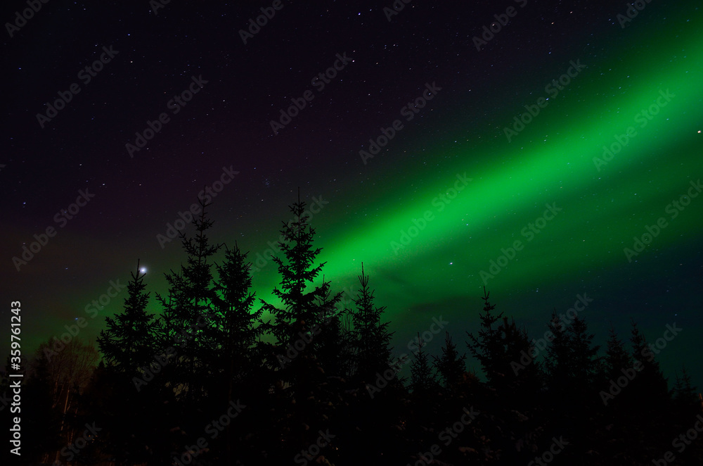 solar flare creates strong vibrant aurora borealis on the winter night sky over forest and trees