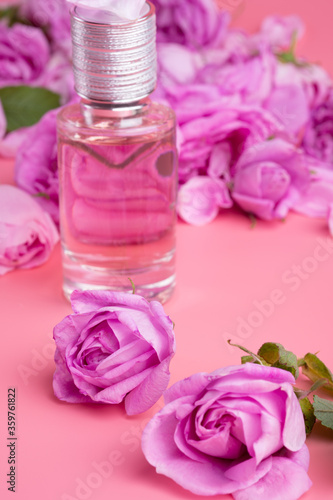  perfume bottle around may roses against pink background