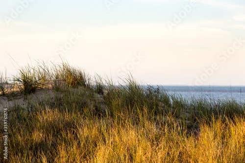 summer east coast dunes sunset