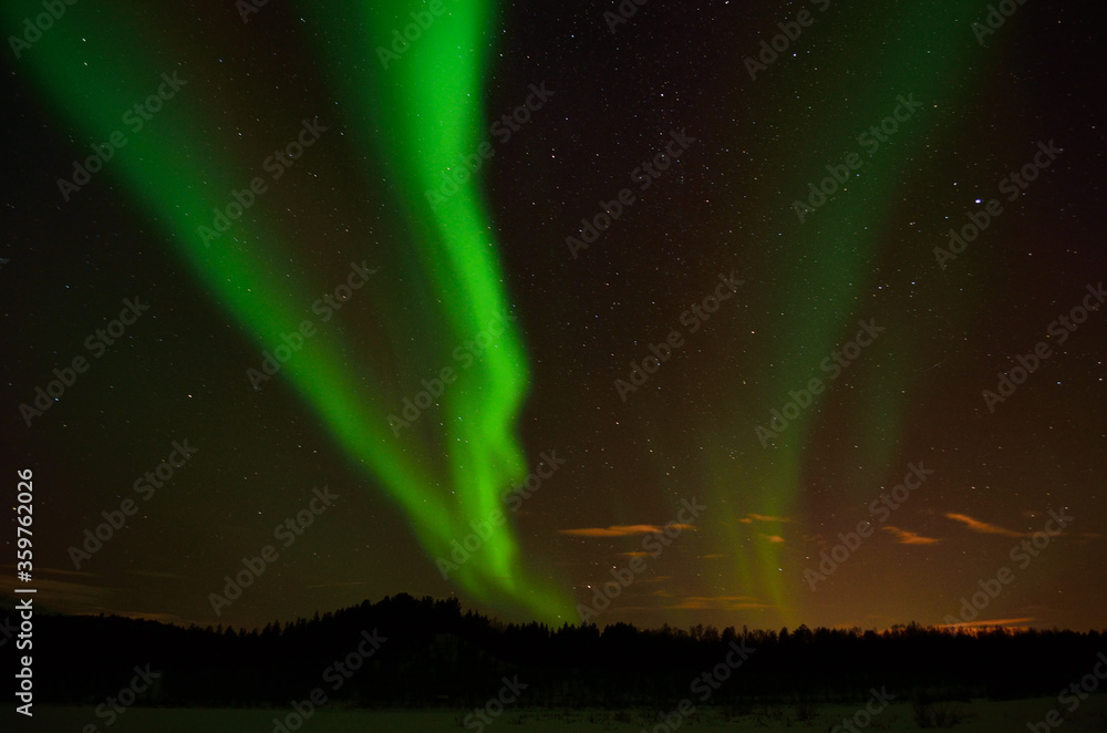 Strong vivid and vibrant aurora borealis on the night sky over cold frozen forest in december