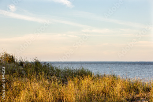 summer east coast dunes sunset