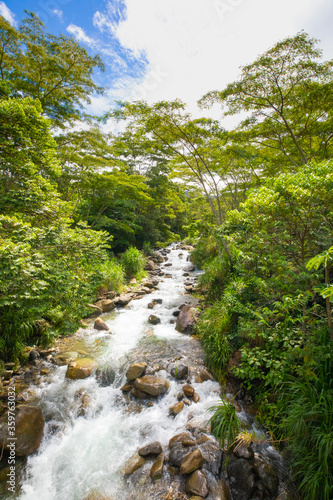 Costa Rica river in the tropical jungle