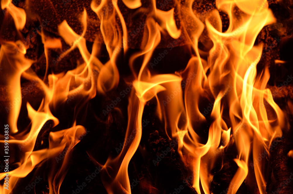 Fototapeta premium Hot vivid burning birch logs in fireplace