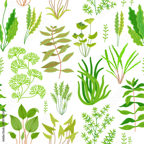 Seamless pattern with marine plants and seaweed.
