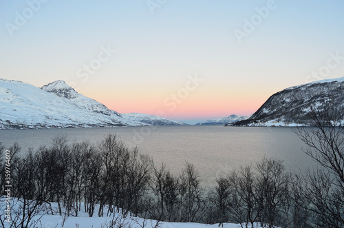 Fototapeta Naklejka Na Ścianę i Meble -  Small trees in front of snowy mountain, cold fjord and vivid colourful sky