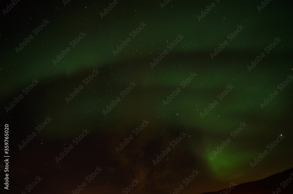 vibrant aurora borealis, northern light on the arctic night sky, northern Norway