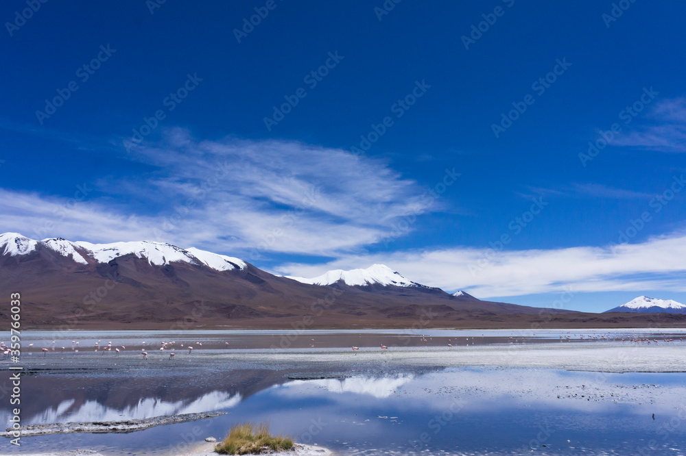 Laguna Pasto Grande, Bolivia, South America