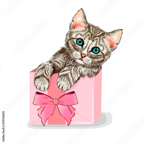Cute Cat in a pink gift box. Cute kitten. Wall stickers	
