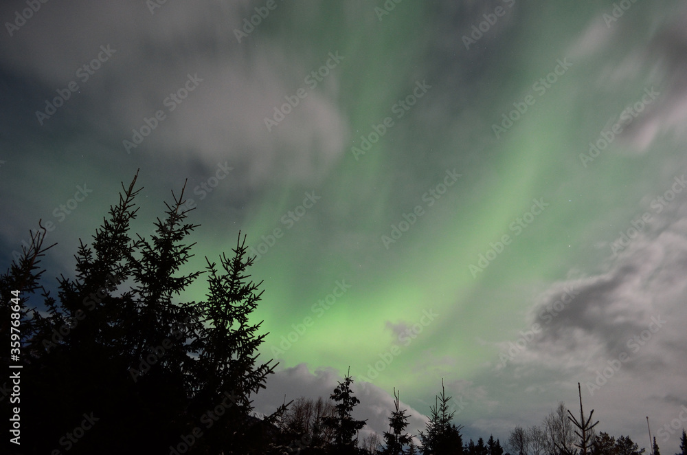 majestic aurora borealis in arctic circle winter landscape