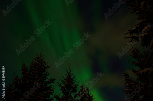 aurora borealis, northern light in arctic landscape