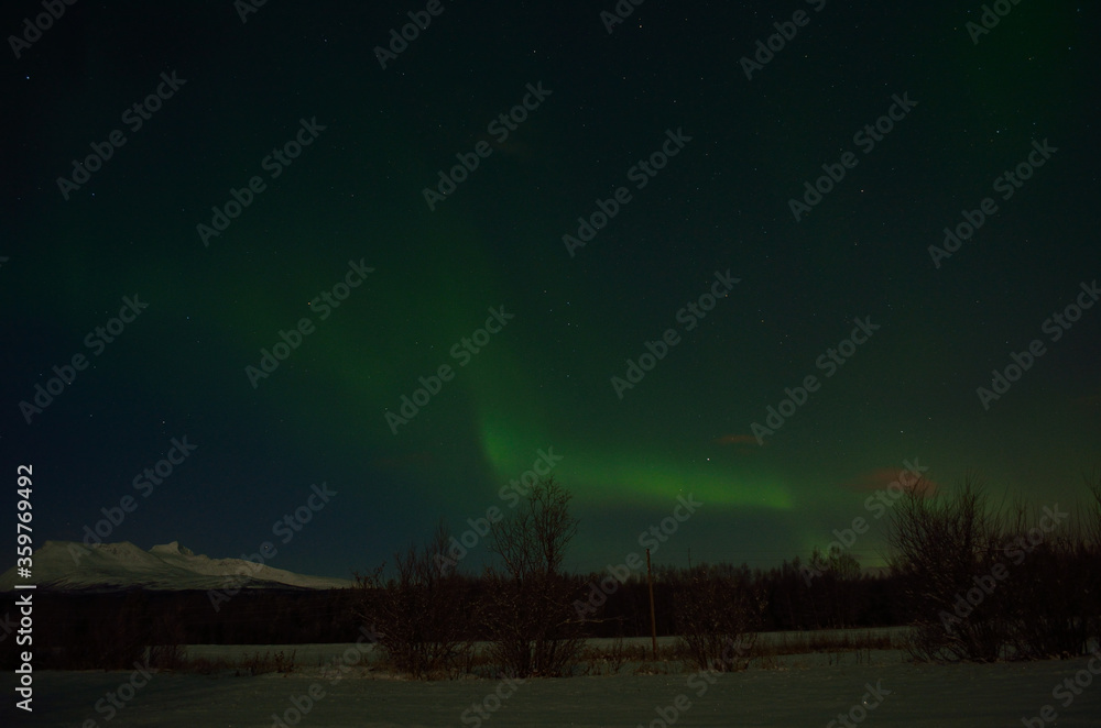 aurora borealis, northern light in the arctic circle at night time