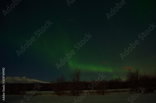 aurora borealis, northern light in the arctic circle at night time © Arcticphotoworks