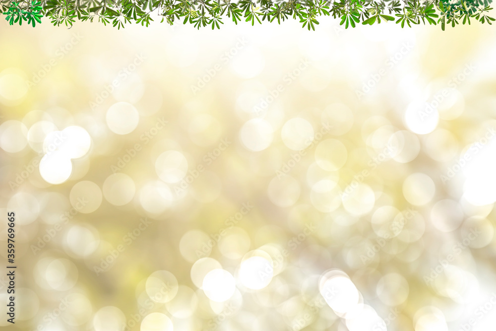 Obraz premium Green leaves blurred background with beautiful bokeh.