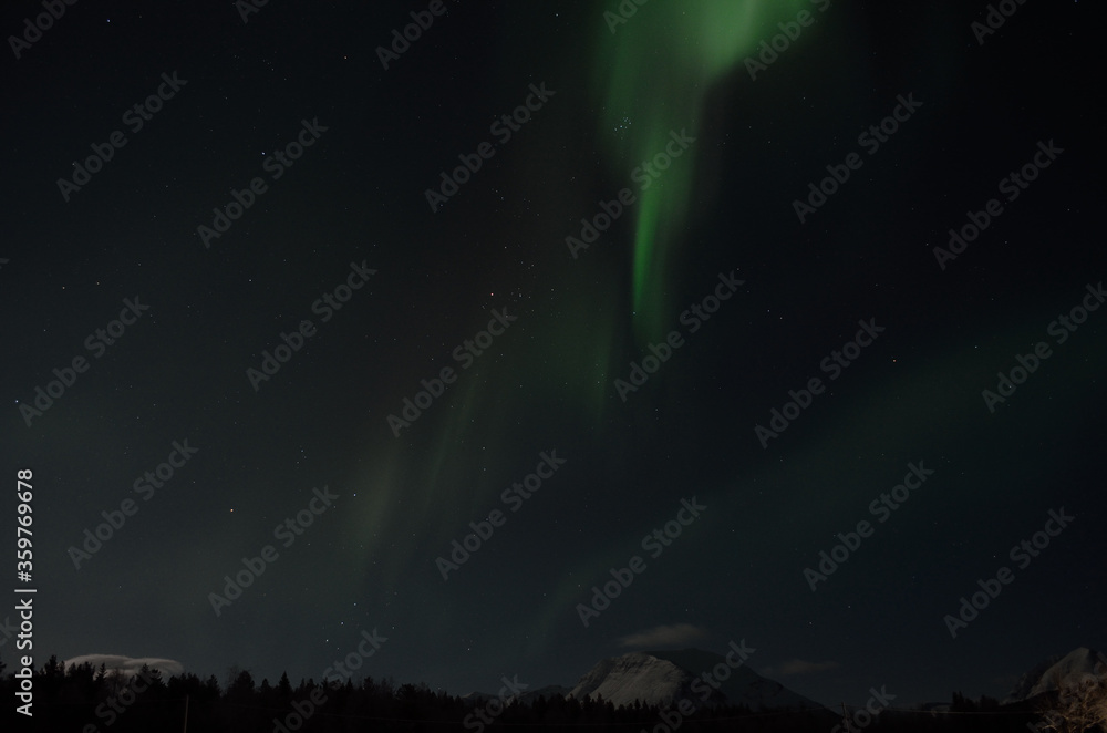 aurora borealis, northern light in arctic landscape
